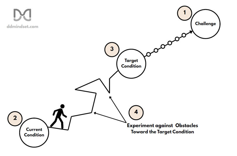 4 Steps of the Improvement Kata DDM Kata Coaching