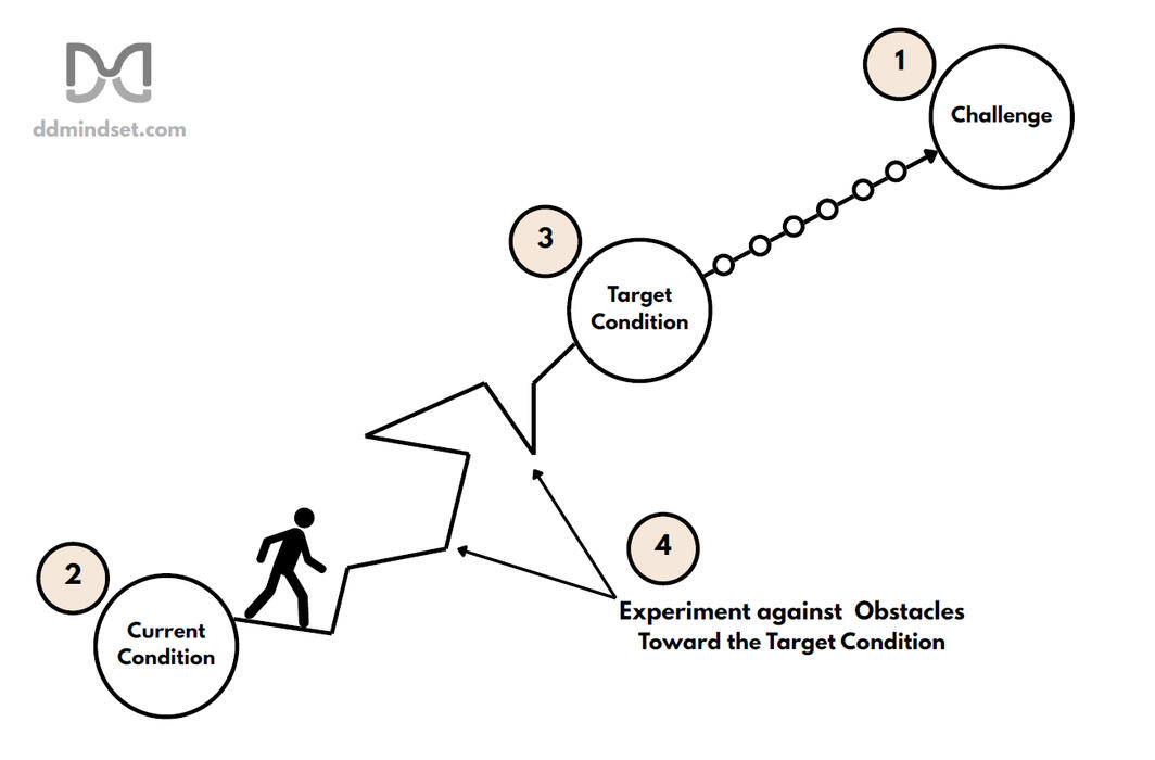 4 Steps of the Improvement Kata DDM Kata Coaching